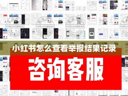 小红书怎么查看举报结果记录