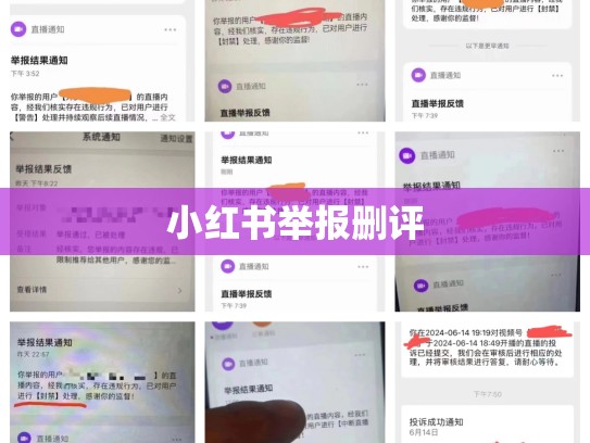 小红书举报删评
