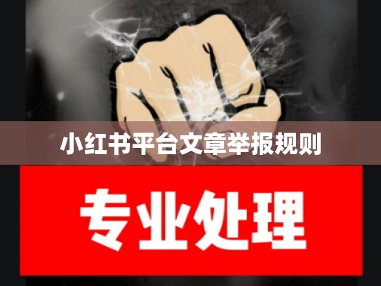 小红书平台文章举报规则