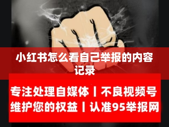 小红书怎么看自己举报的内容记录