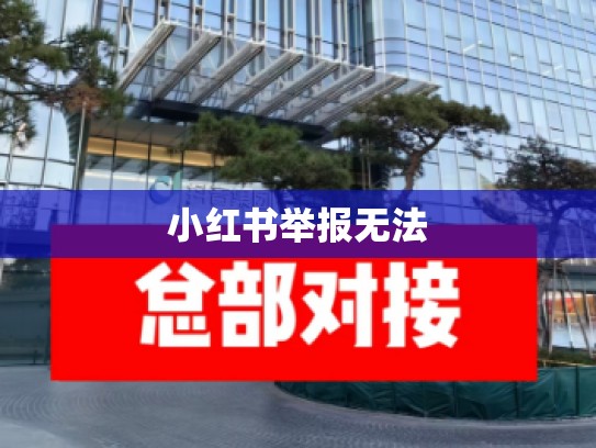 小红书举报无法