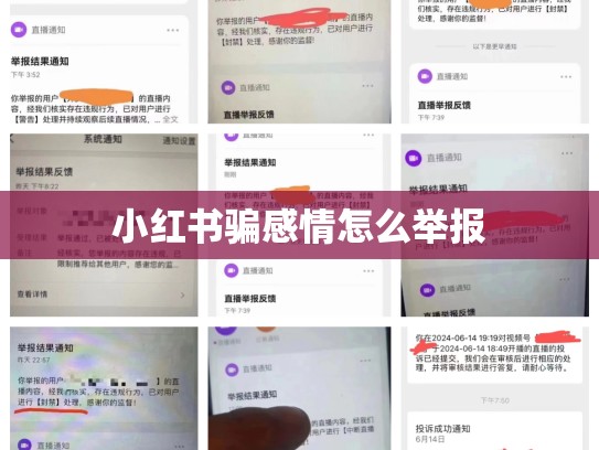 小红书骗感情怎么举报