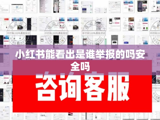 小红书能看出是谁举报的吗安全吗