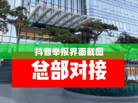 抖音举报界面截图