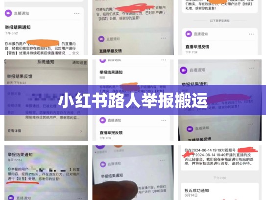 小红书路人举报搬运