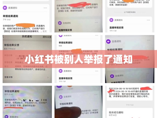 小红书被别人举报了通知