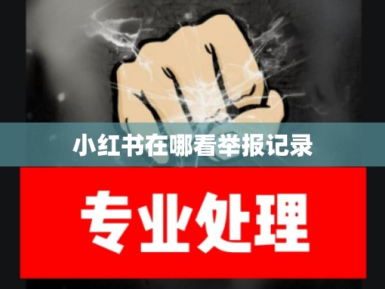 小红书在哪看举报记录