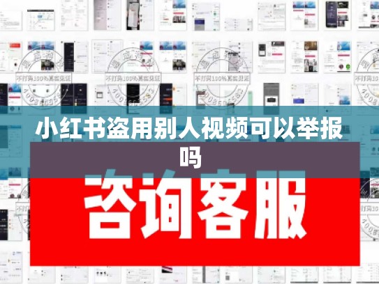 小红书盗用别人视频可以举报吗