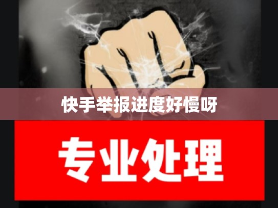 快手举报进度好慢呀
