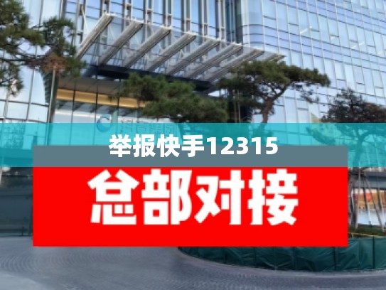 举报快手12315