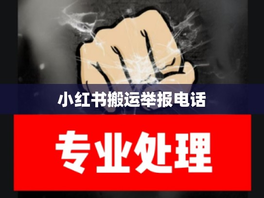 小红书搬运举报电话