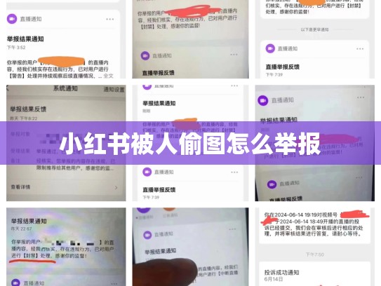 小红书被人偷图怎么举报