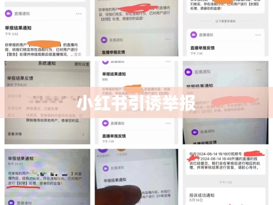 小红书引诱举报