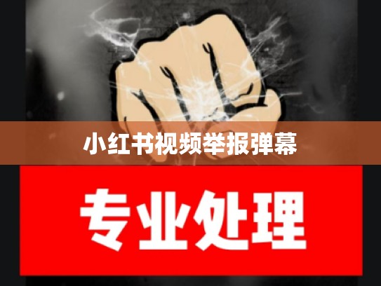 小红书视频举报弹幕