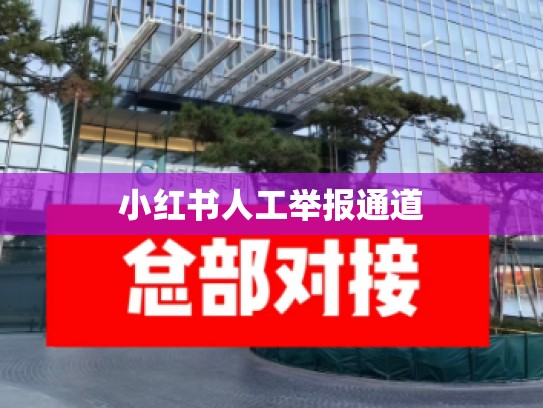 小红书人工举报通道