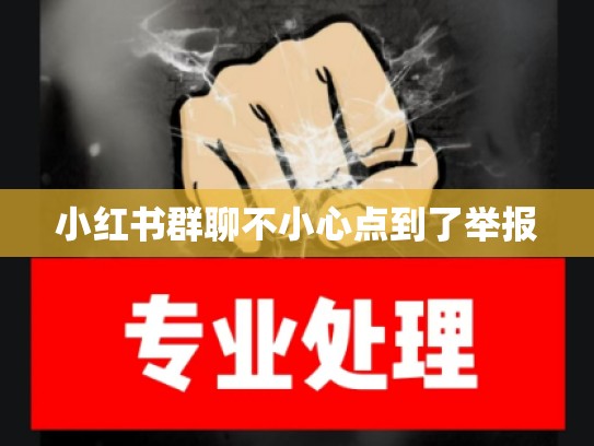 小红书群聊不小心点到了举报
