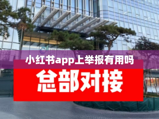 小红书app上举报有用吗