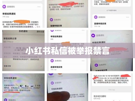 小红书私信被举报禁言