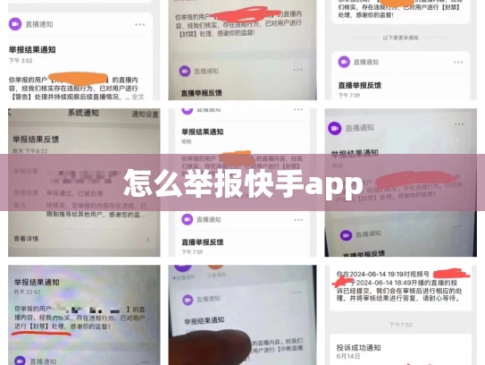 怎么举报快手app