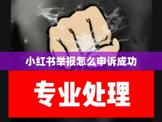 小红书举报怎么申诉成功