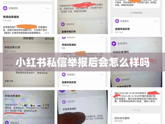 小红书私信举报后会怎么样吗