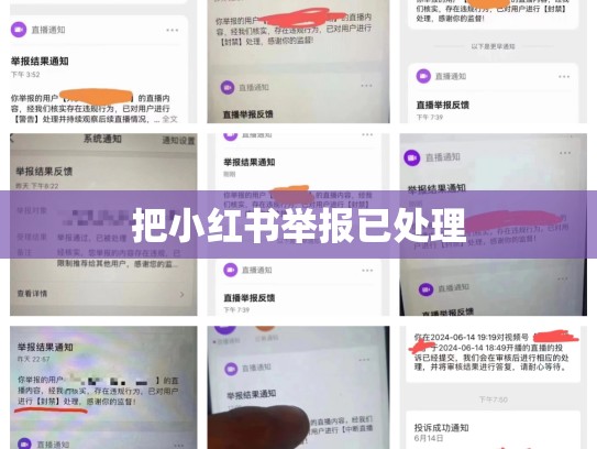 把小红书举报已处理
