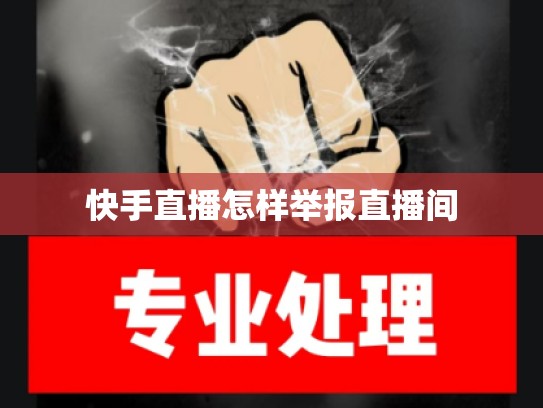 快手直播怎样举报直播间