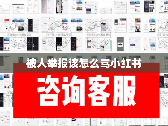 被人举报该怎么骂小红书