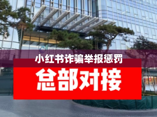 小红书诈骗举报惩罚