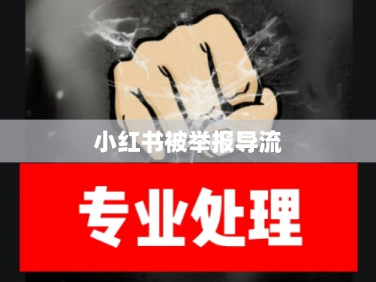 小红书被举报导流