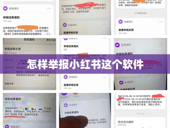 怎样举报小红书这个软件