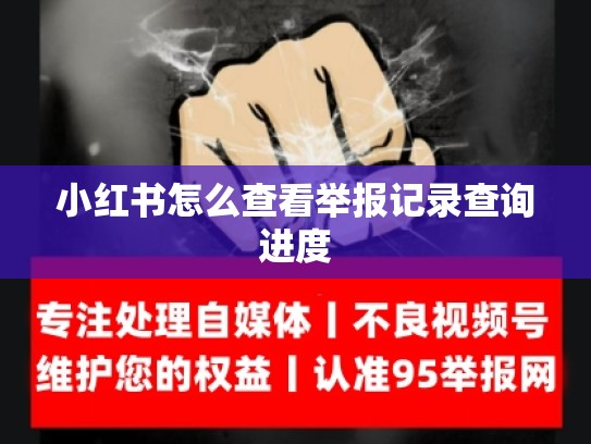 小红书怎么查看举报记录查询进度