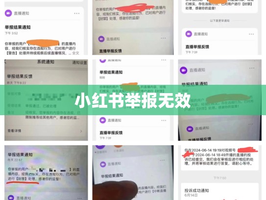 小红书举报无效