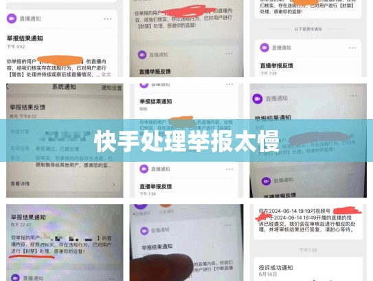 快手处理举报太慢