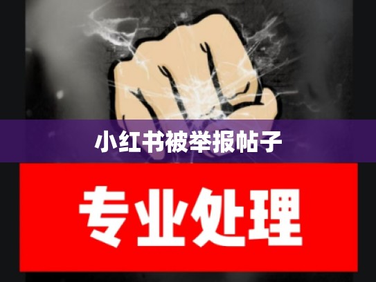 小红书被举报帖子