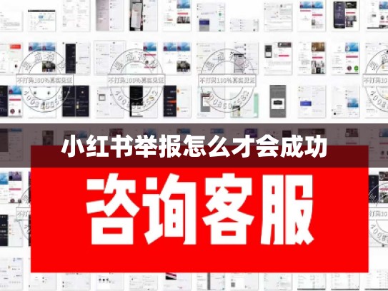小红书举报怎么才会成功
