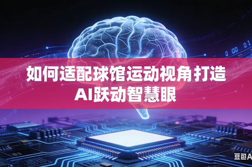 如何适配球馆运动视角打造AI跃动智慧眼