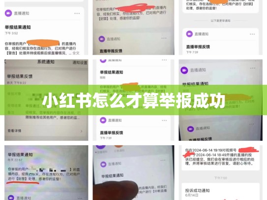 小红书怎么才算举报成功