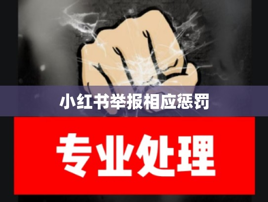 小红书举报相应惩罚