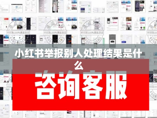 小红书举报别人处理结果是什么