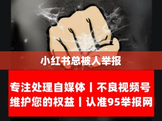 小红书总被人举报