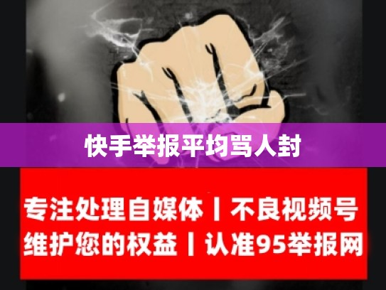 快手举报平均骂人封