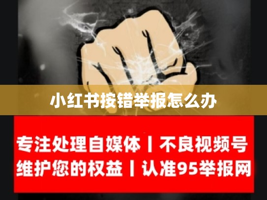 小红书按错举报怎么办