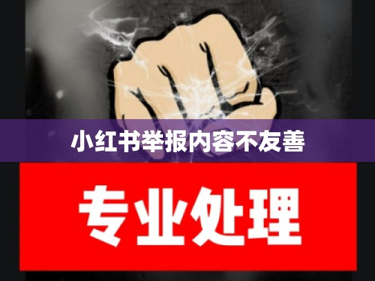 小红书举报内容不友善