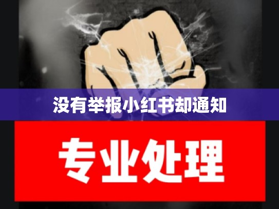 没有举报小红书却通知