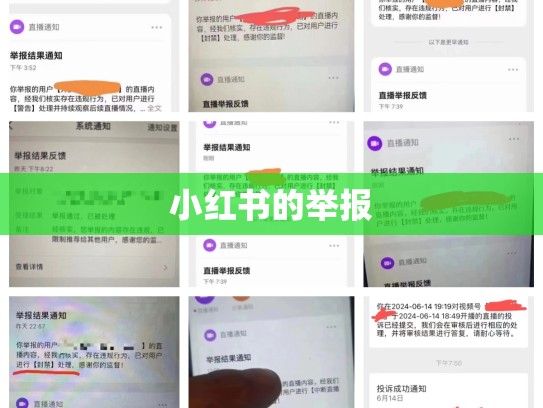 小红书的举报
