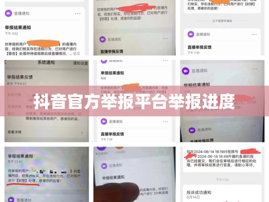 抖音官方举报平台举报进度
