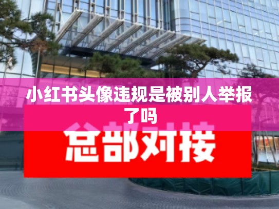 小红书头像违规是被别人举报了吗