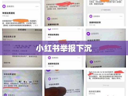 小红书举报下沉