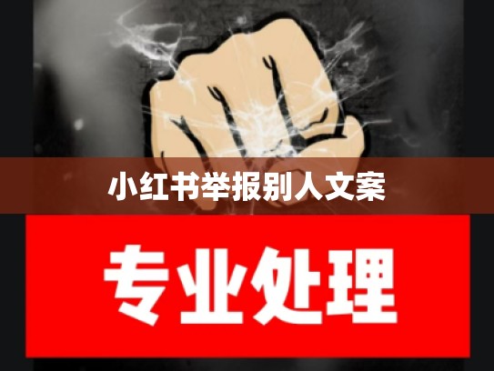 小红书举报别人文案